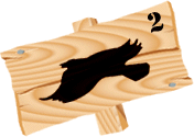 カラス