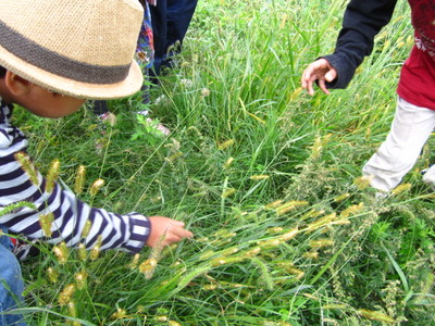 IMG_1747.JPG