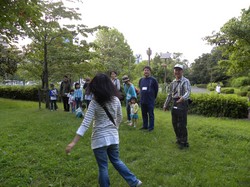 koto20130803_02.JPG