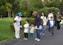 koto20130803_04.JPG