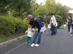 koto20130803_05.JPG