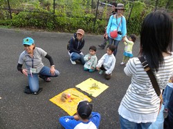 koto20130803_06.JPG
