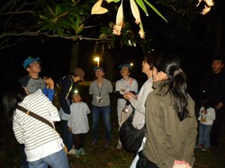 koto20130803_12.JPG