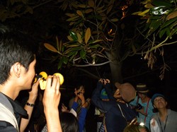 koto20130803_14.JPG