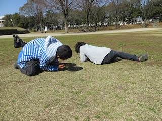 HS_20130316021.jpg
