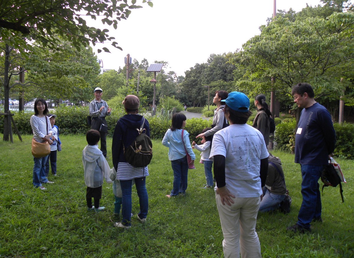 http://www.naturegame.or.jp/experience/images/koto20130803_01.JPG