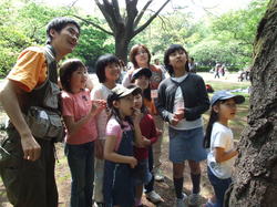 2006_043006-4-300198.JPGのサムネール画像