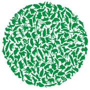 SNlogo07.png