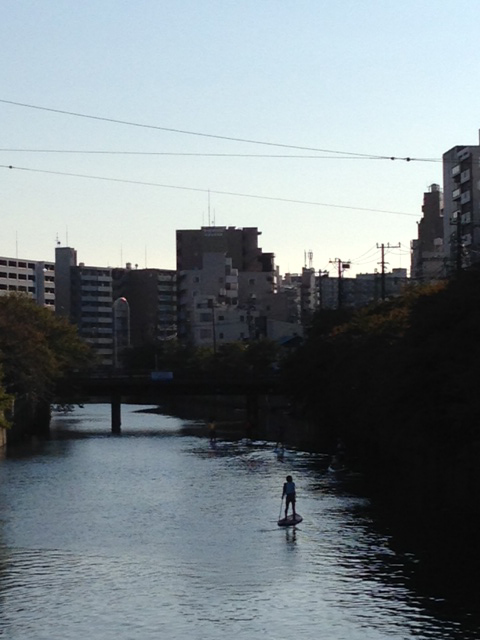 http://www.naturegame.or.jp/staff_blog/images/oookagawa2.jpg