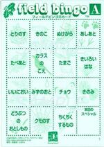 bingo.jpg