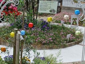 IMG_5363.JPG