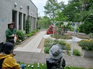 IMG_5364.JPG