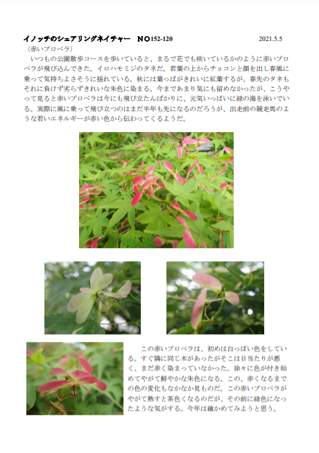 スクリーンショット 2021-05-06 151147.png