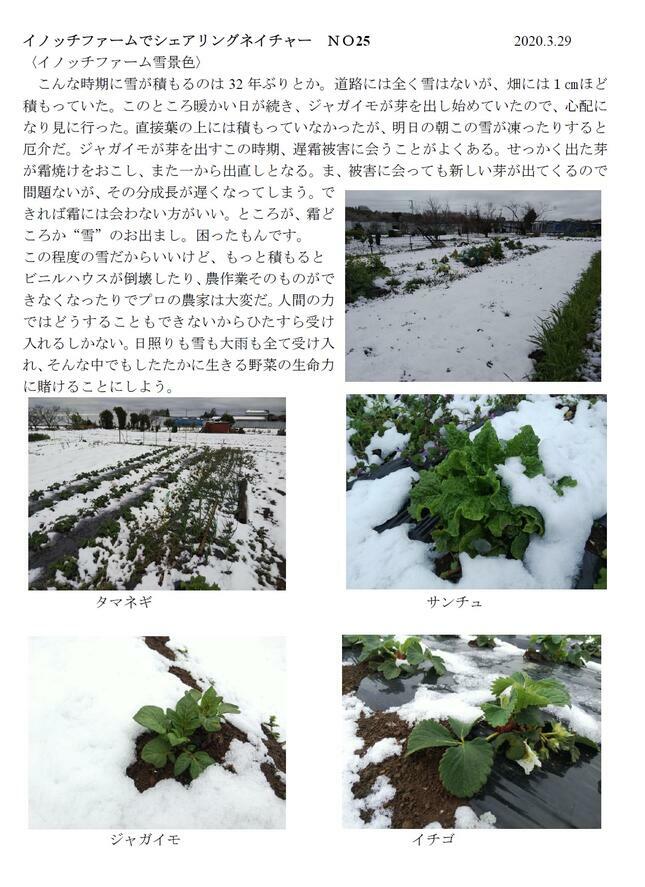 inocchifarmno.25.jpg