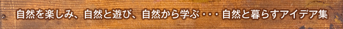 自然を楽しみ、自然と遊び、自然から学ぶ・・・自然と暮らすアイデア集