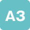 A3