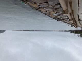 IMG_5083.jpeg