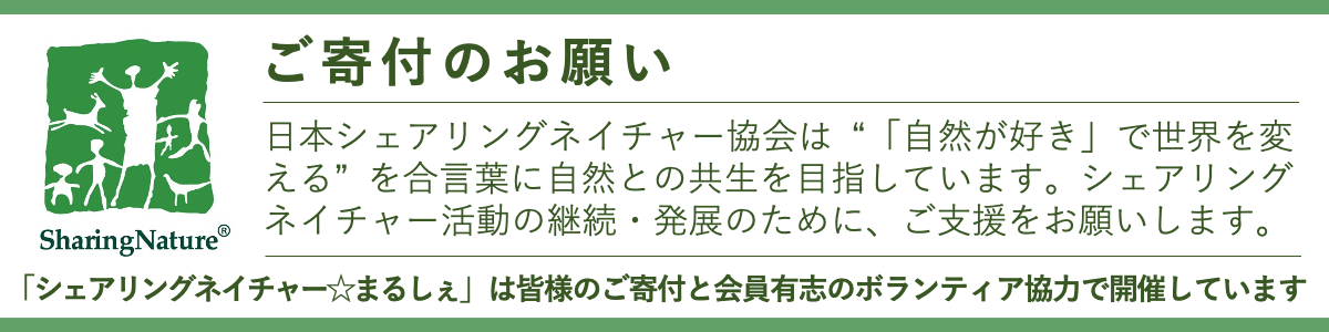 20250801125753-6ce32174e38f6955cecc4779907e7cb181f0f077.png