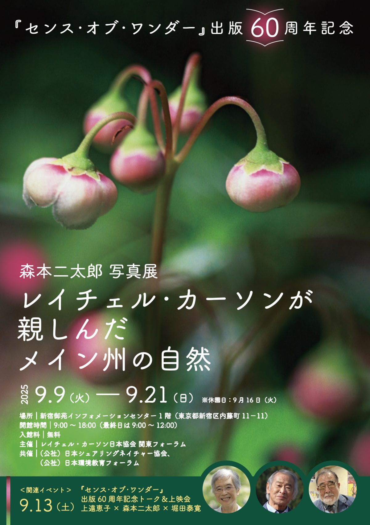 写真1