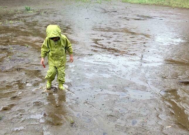 子どもと 雨の公園あそび に出かけよう カワウソくんのネイチャーゲームフィールドノート