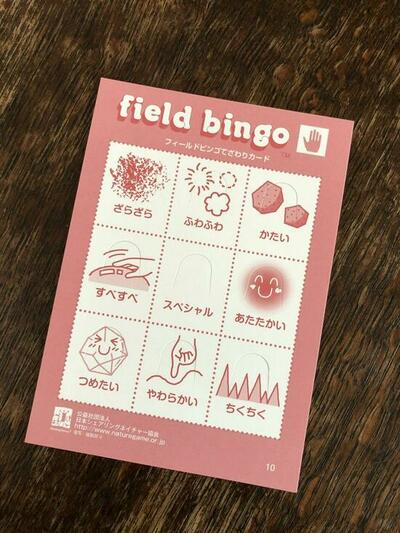 4stepbingo03.jpegのサムネイル画像