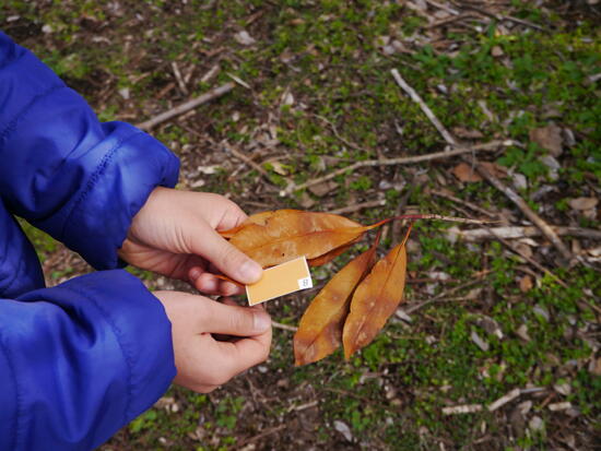 omikuji05.JPG