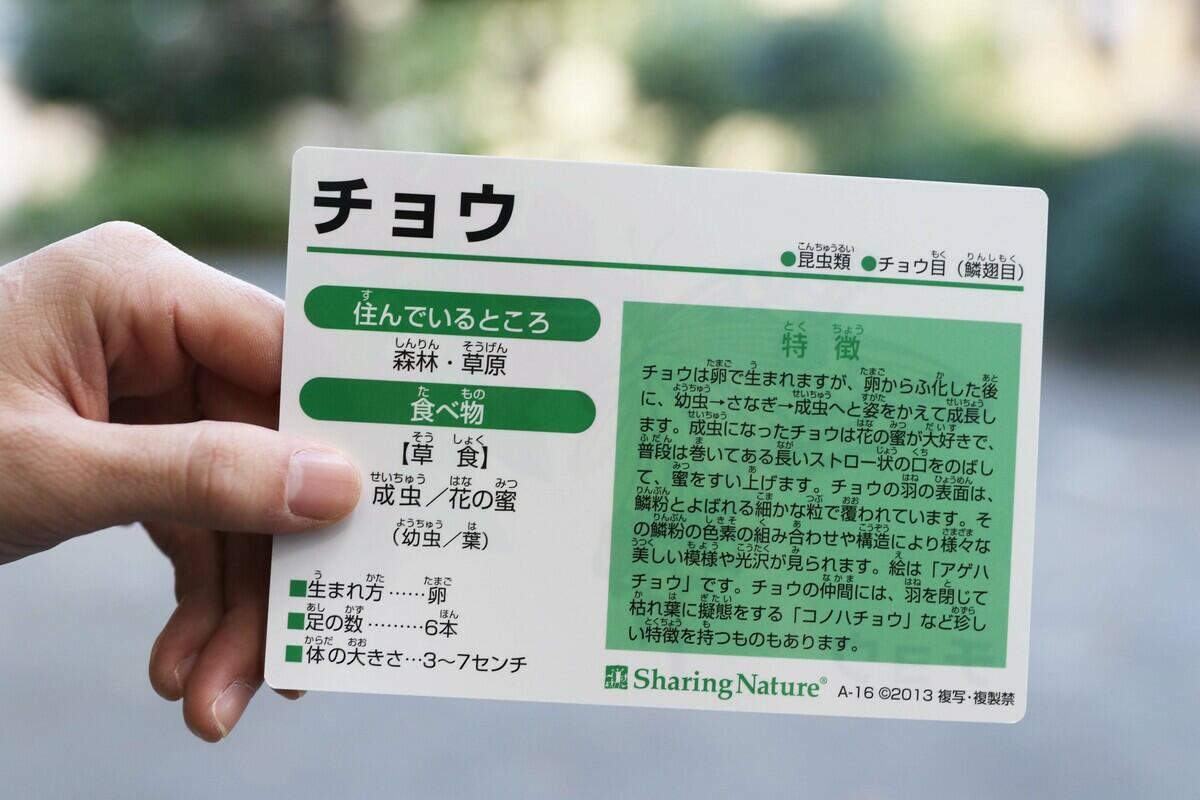 ikimono.jpg