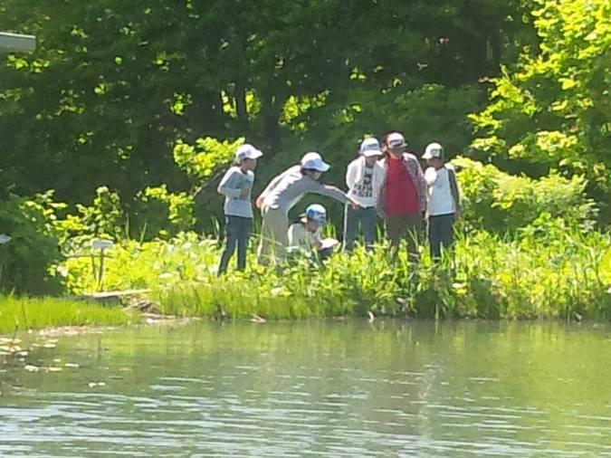 山形県酒田市 ブナの森広場 心字池周辺 鳥海高原家族旅行村 山形県酒田市 ブナの森広場 心字池周辺 鳥海高原家族旅行村