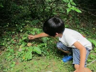 ここにあるよ！