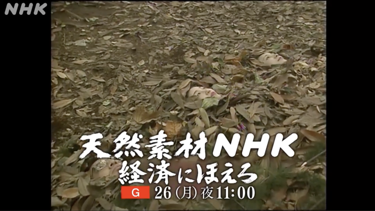 20240222NHK ponpon.png