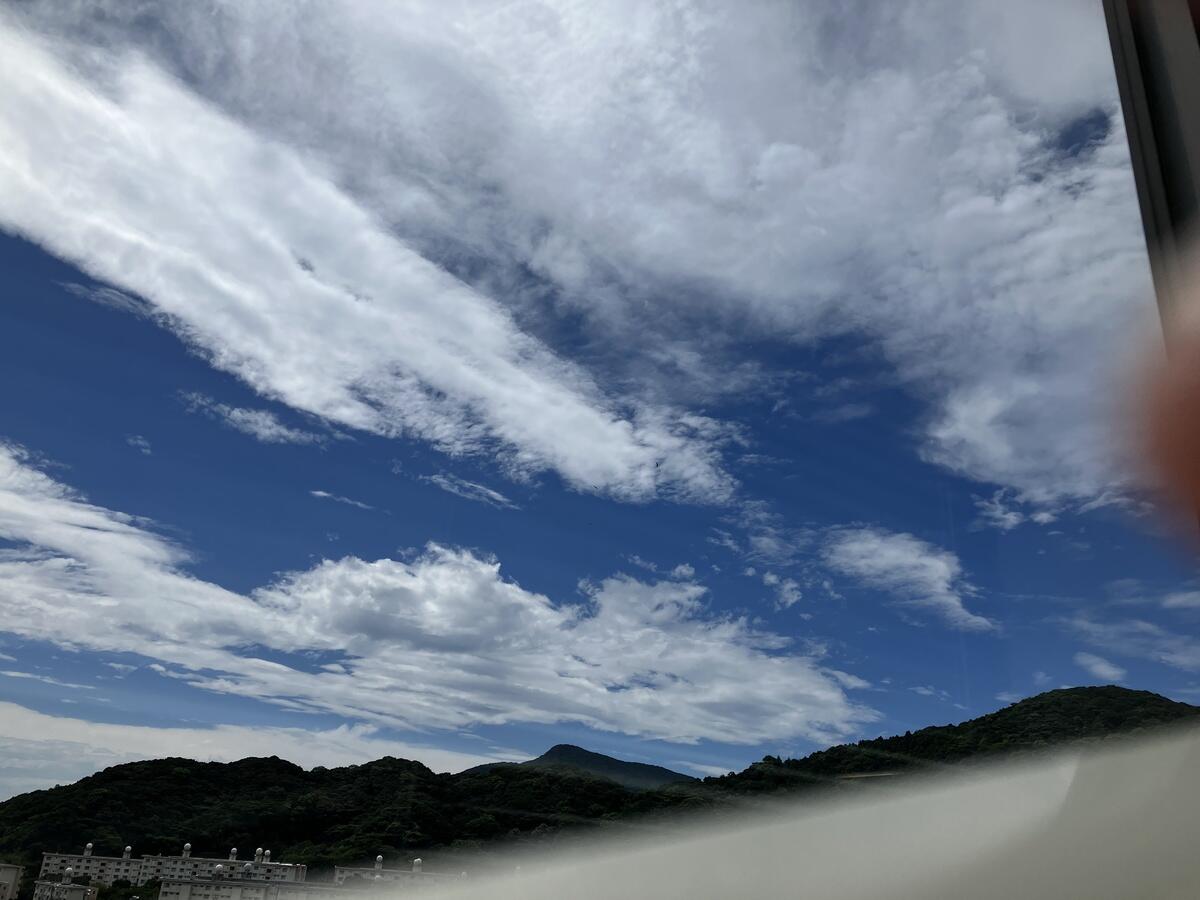 トンビの舞う青空