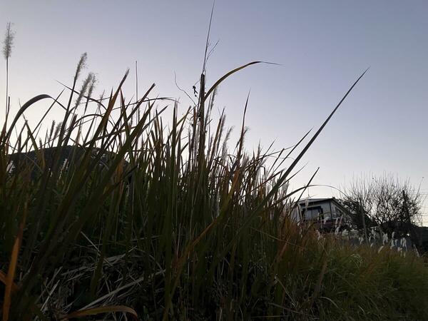 朝の空気感が伝わりますか？