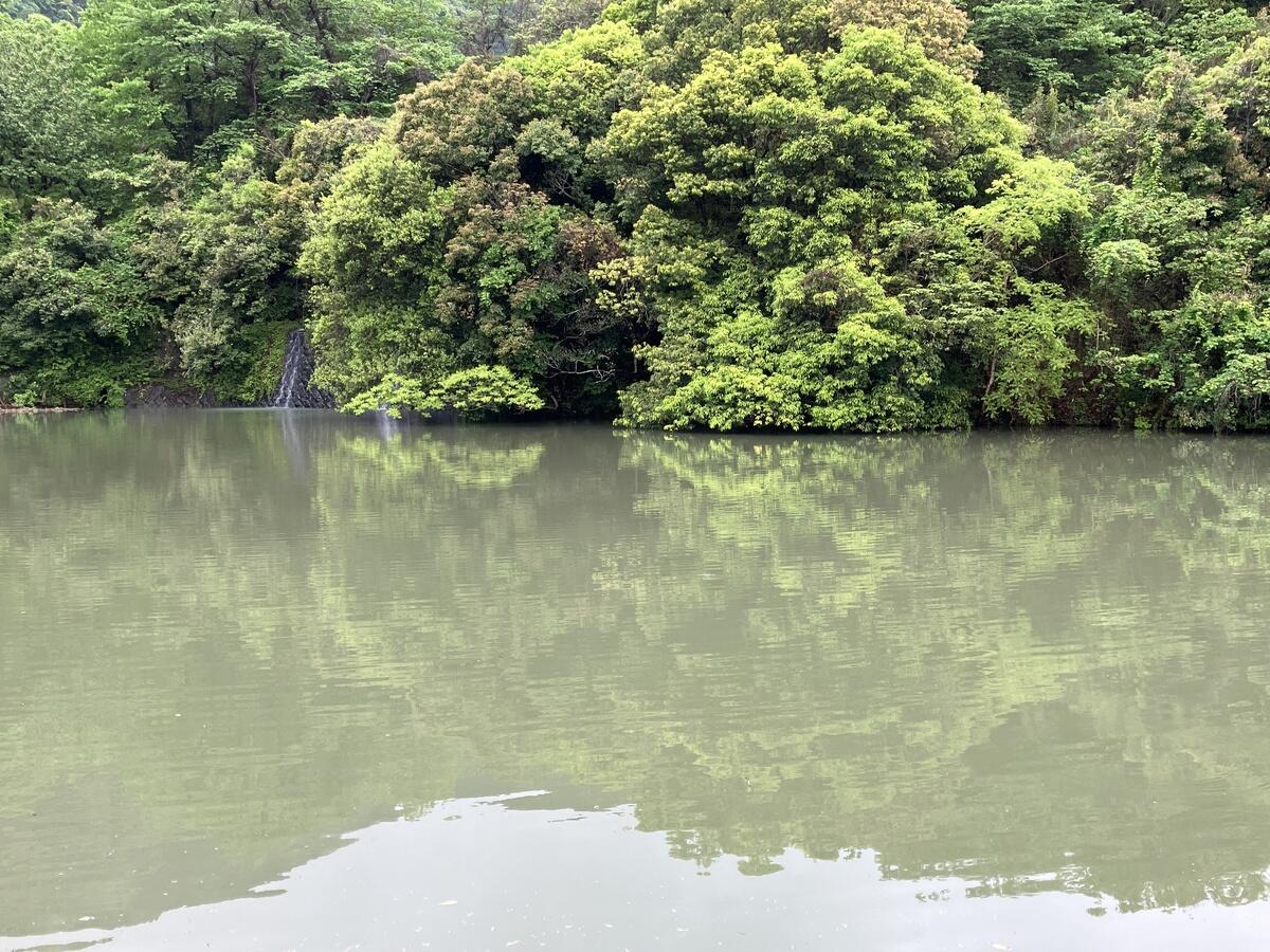 豊かな湖面