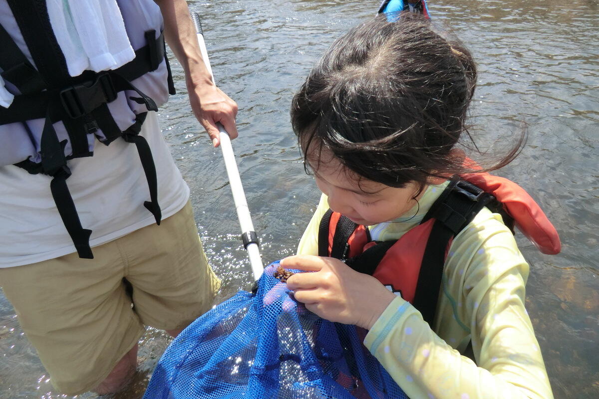 kawa0802_4-2.JPG