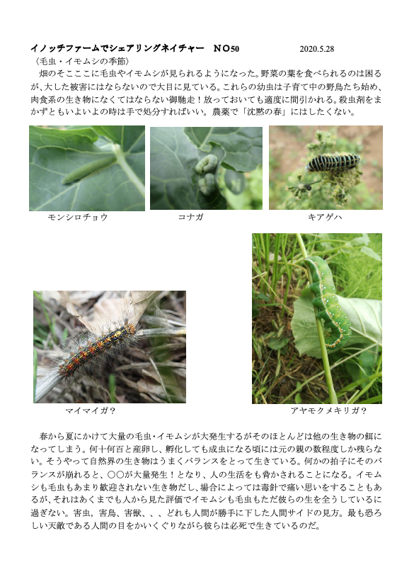 イノッチファームでシェアリングネイチャー No 50 毛虫 イモムシの季節 05 28 公益社団法人日本シェアリングネイチャー協会